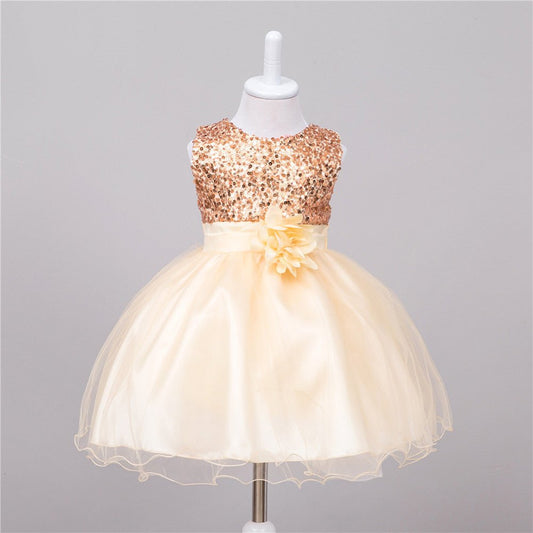 Baby Sequin Dress Flower Girl Wedding Princess Dress - TinyToes Baby Boutique